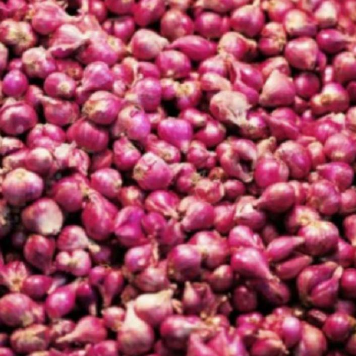 

㊨ Bawang Merah Kering Tanggung Campur Kecil √