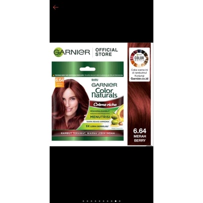 Garnier Color Naturals Express Hair Color Sachet | Garnier Color Naturals  Pewarna Rambut | Cat Rambut Natural