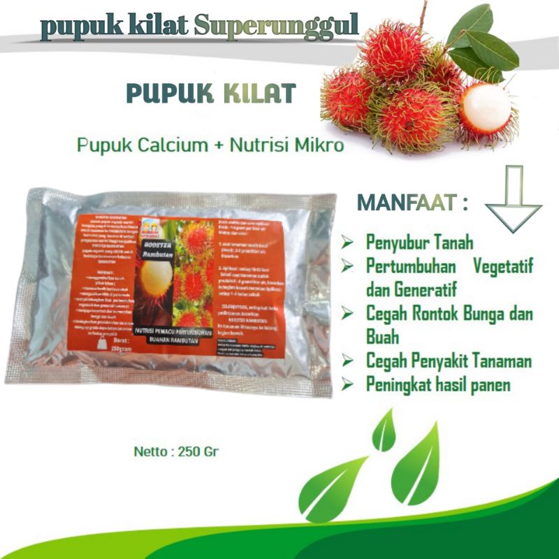 Pupuk Booster Organik Pelebat Buah Rambutan  Dan Perangsang Agar Cepat Berbuah