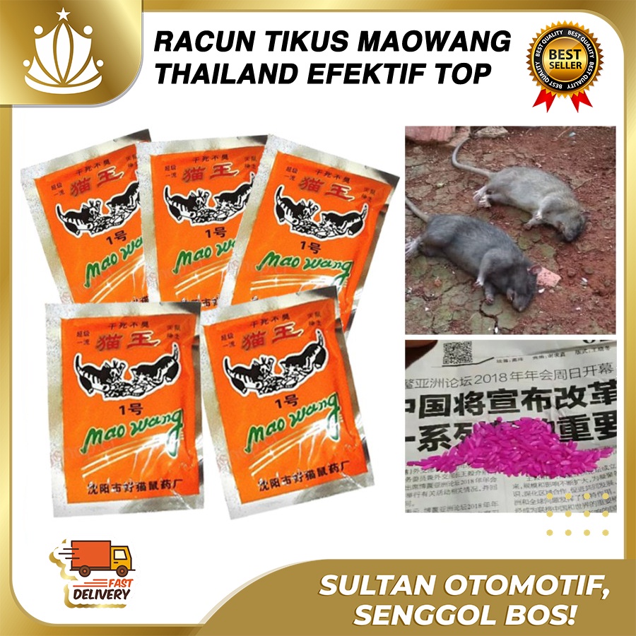 Obat Tikus Tidak Bau Isi 5