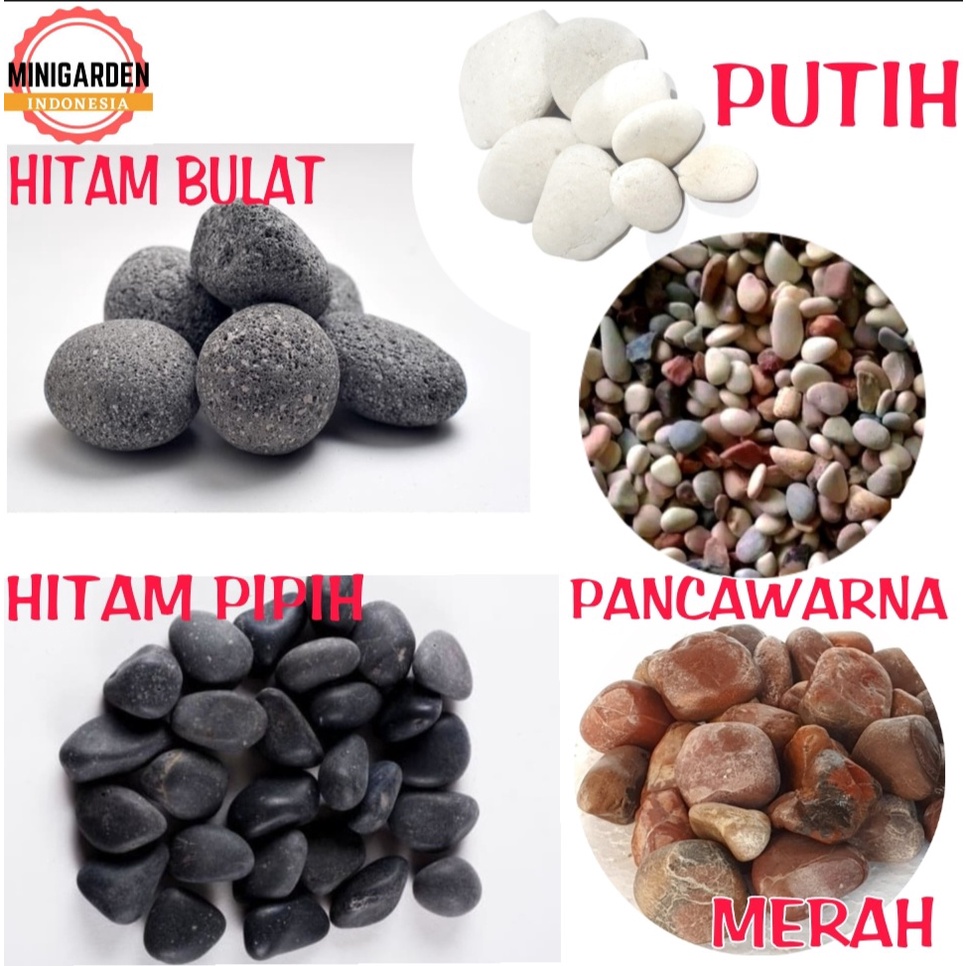 BATU KORAL ECERAN 500GRAM batu kupang batu hias taman aquascape