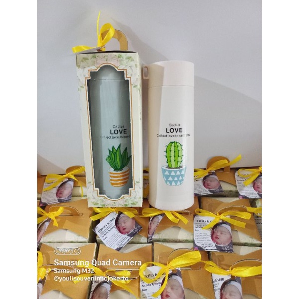 souvenir botol kaktus kemas box