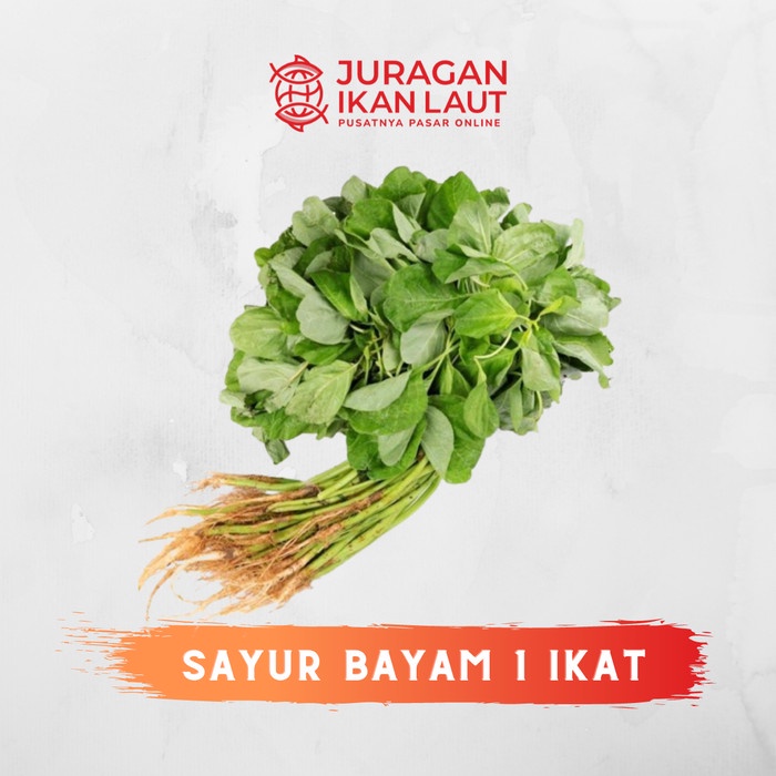 

Sayur Bayam Segar Fresh Berkualitas - 1 Ikat