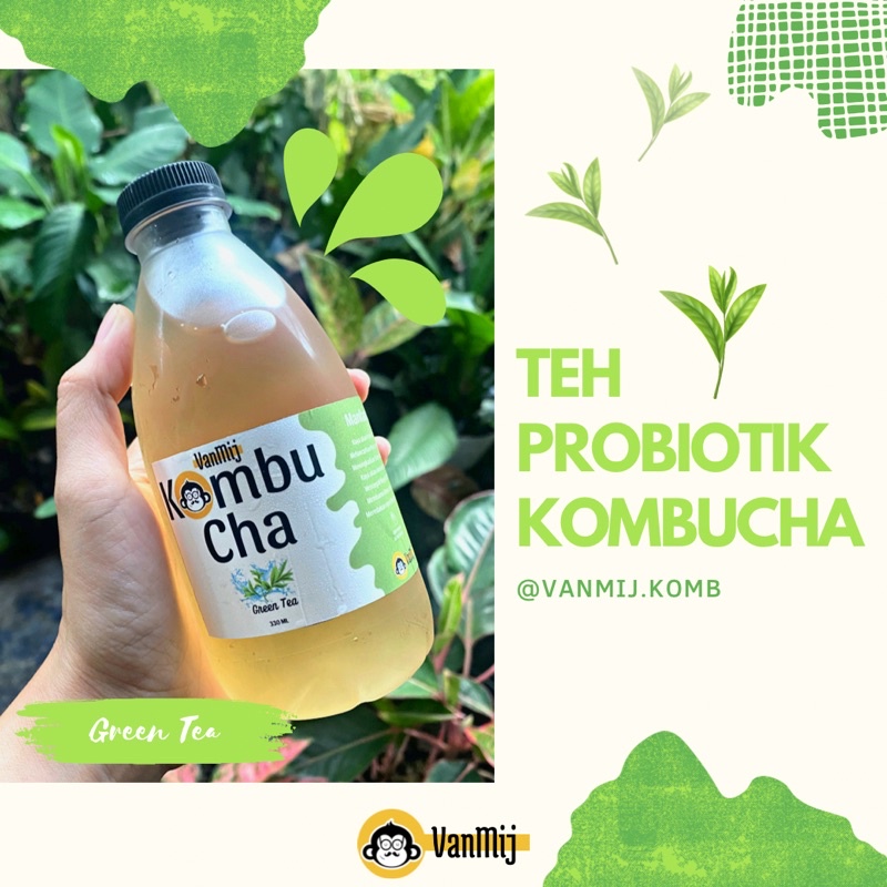 

KOMBUCHA PROBIOTIC DRINK | GREENTEA 350ml | DETOX | MINUMAN PROBIOTIK l TEH HERBAL DIET