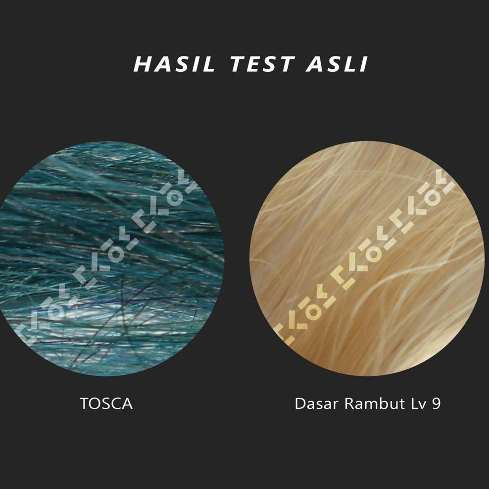 SERBA MURAHCOLORE FRESCO TOSCA color cream cat rambut biru hijau