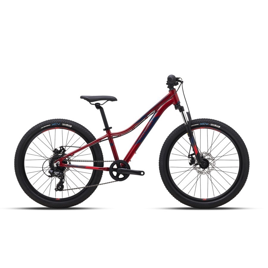 SEPEDA MTB POLYGON RELIC 24 INCH