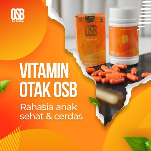 OSB Vitamin Anak Pintar / Multivitamin Otak Buah Hati Cerdas Aktif