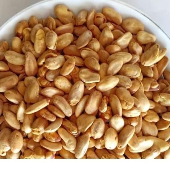 

[C-3Y ♥☞] Kacang Kedaung kacang Biji kedawung jumbo goreng siap makan enak gurih 500 gram-kekinian