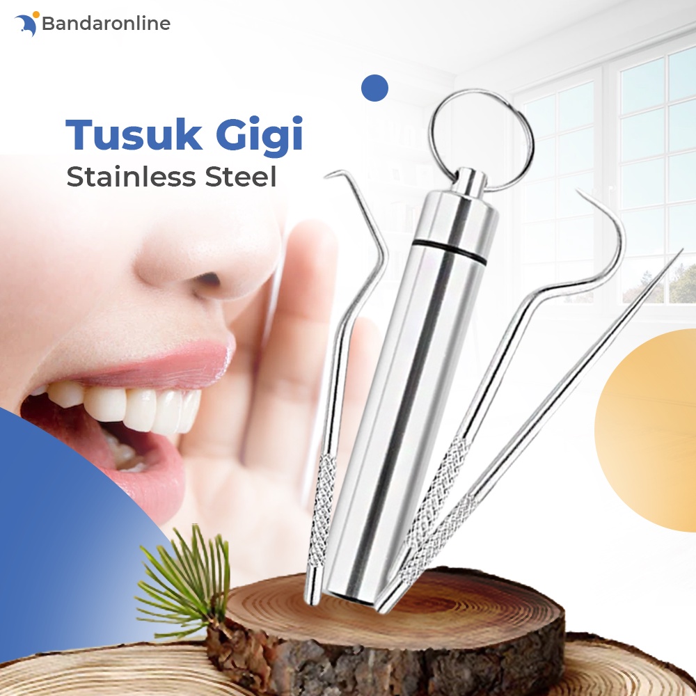 Tusuk Gigi Stainless Set 3 PCS Alat Pembersih Gigi