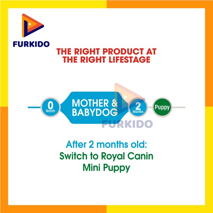 Royal Canin Mini Starter Mother &amp; Baby Dog 4 Kg / Makanan Anjing