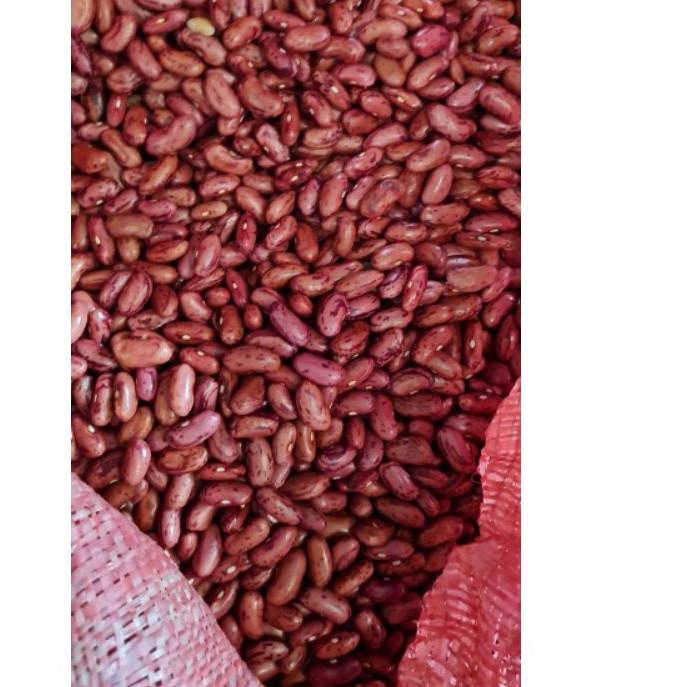

Original Kacang Merah / Kacang Jogo 1 KG Ukuran Besar Premium Dijamin Fresh!!!