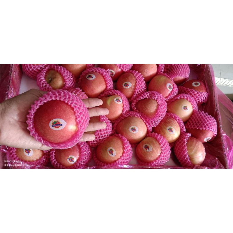

Apel Fuji/apel Fuji buah segar manis crunchy