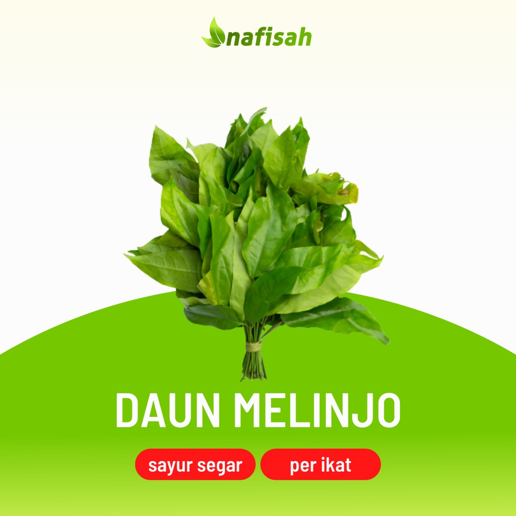 

Daun Melinjo