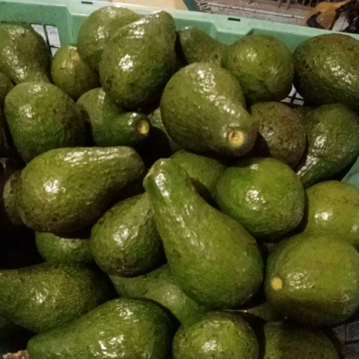 

Alpukat Mentega 1kg isi 4-5