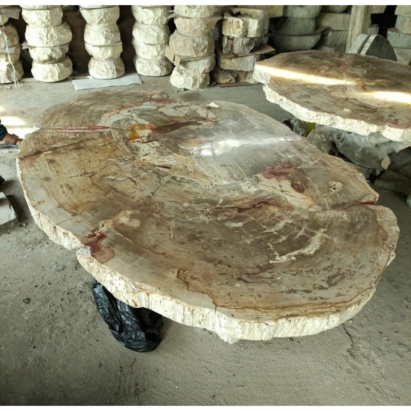 Daun Meja Batu Fosil Kayu Purba JUMBO