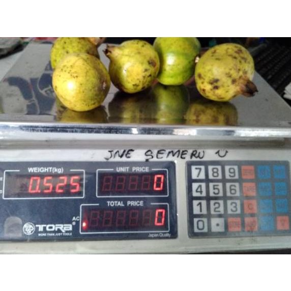 

HOT PRODUCT Buah delima putih berat isi 500gram ⁂ 862