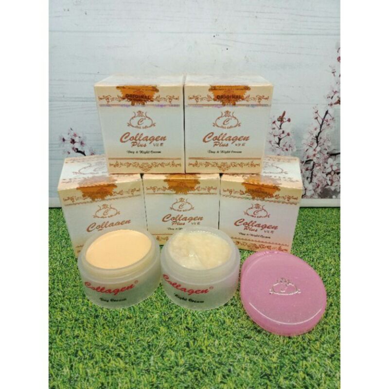 Collagen Cream Day and Night / Krim Siang dan Malam Collagen Original