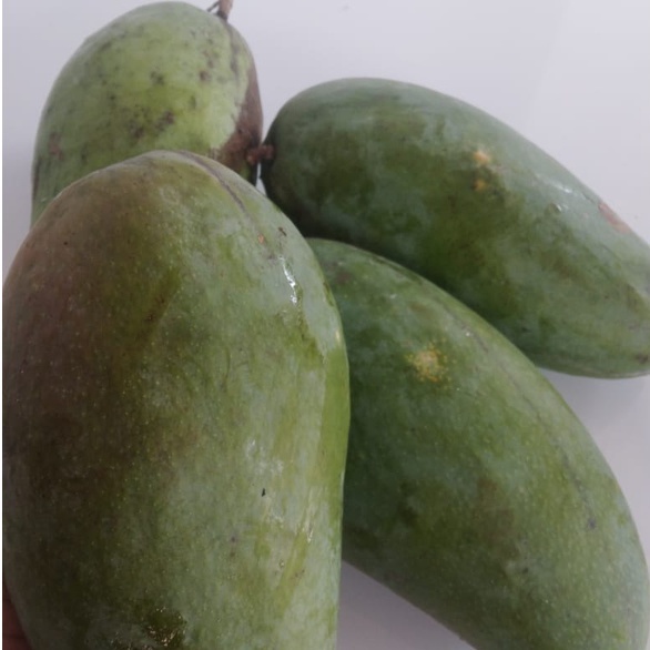 

Mangga kyojai 900-1000gr promo murah buah bandung