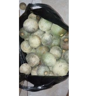 

(U(72☛) Buah Kawista | Kawis Lasem Rembang | ±1kg | READY STOCK viral