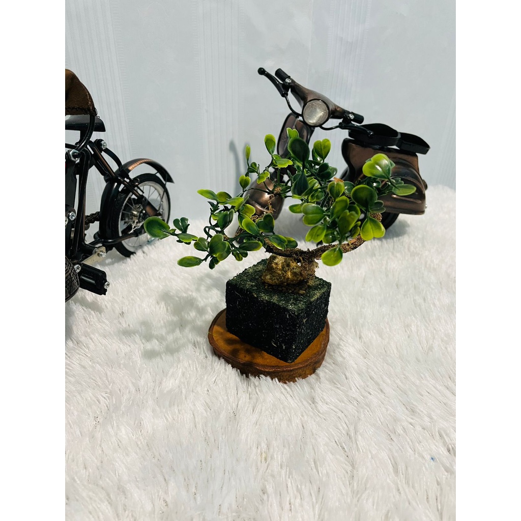 FURNITURE RANGKAIAN HIASAN BUNGA BONSAI DAUN JERUK UNIK DAN KLASIK, BUNGA PLASTIK ARTIFISIAL PENGHIAS TAMAN , RUANGAN , AULA MEJA KERJA TERAS RUMAH , ANGGREK BUNGA MAWAR ANEKA BUNGA HIAS PLASTIK
