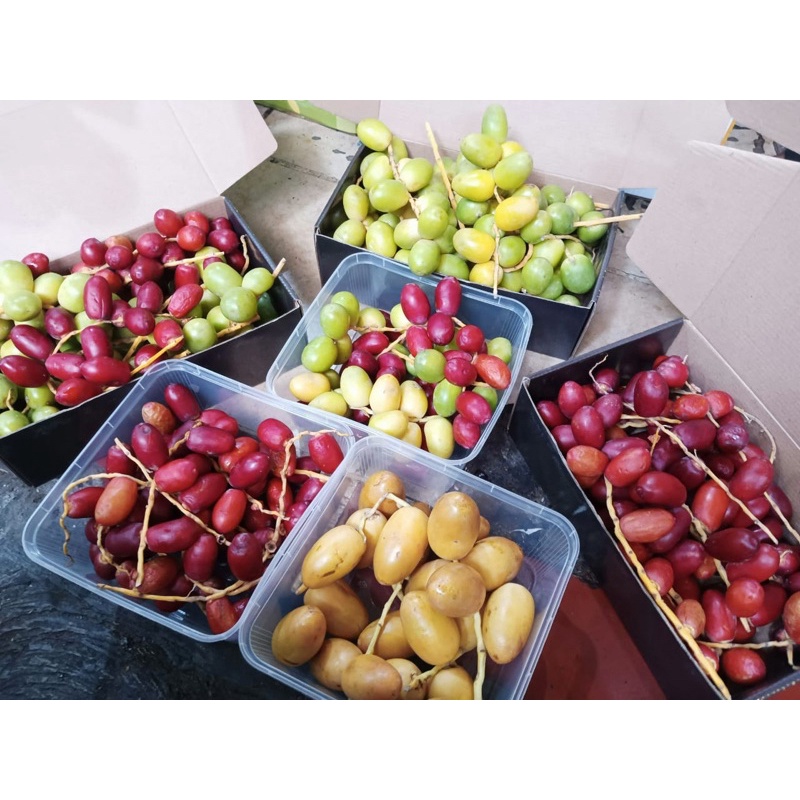 

[ORI] kurma raja arab 1kg premium Quality