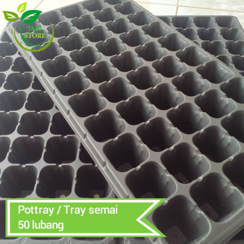 Pot tray_Tray semai 50 hole/lubang_Tray semai