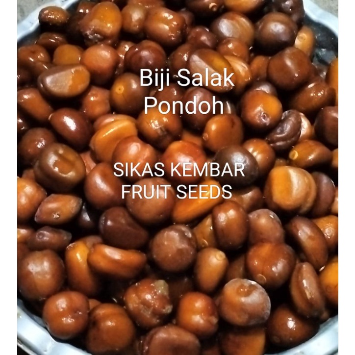 

biji salak pondoh segar 1kg isi 150biji sebagai bibit ditanam dan untuk bahan olahan kopi dan obat herbal