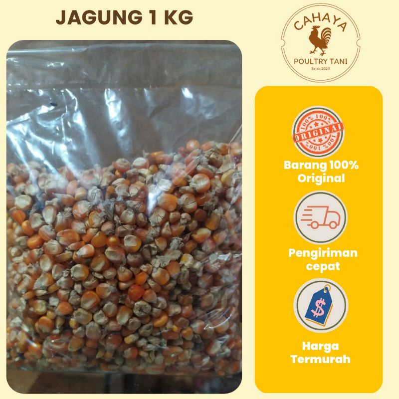 Pakan Ayam JAGUNG 1KG