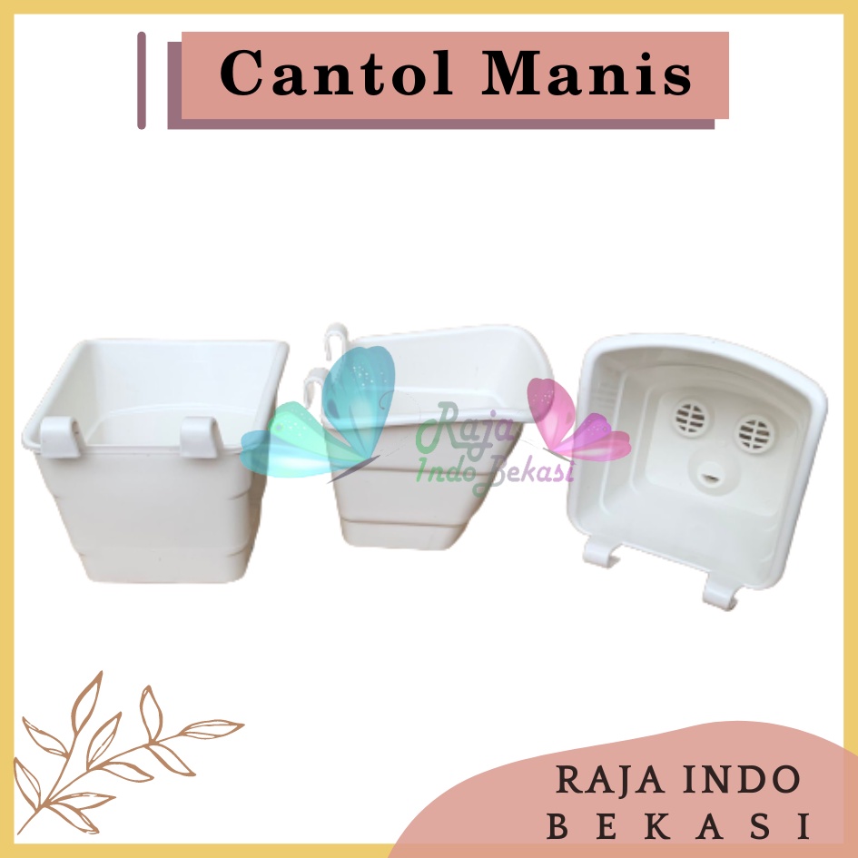 Pot Dinding Tempel Cantol TIP Manis Putih - Pot Dinding Tempel Mini Murah Unik Pot Tempel Vertical Garden Pot Argo Mini