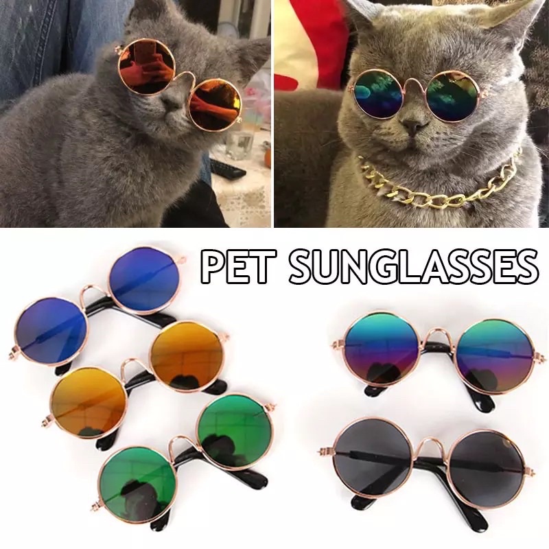 Kacamata hewan Fashion kucing anjing pet aksesoris