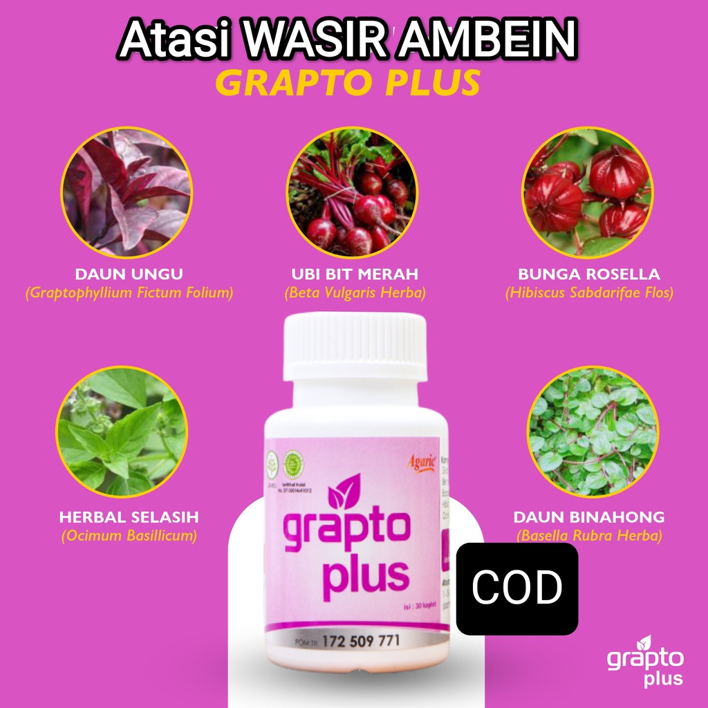 Grapto Plus Obat Herbal Ambeien Akut Grapto Wasir Ampuh Ambein Ambeyen BPOM Original Alami Herbal