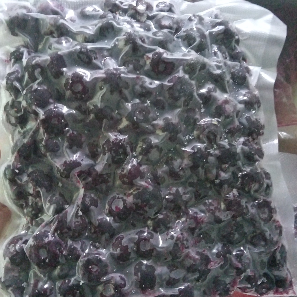 

Blueberry Frozen Import 500g dan 1kg