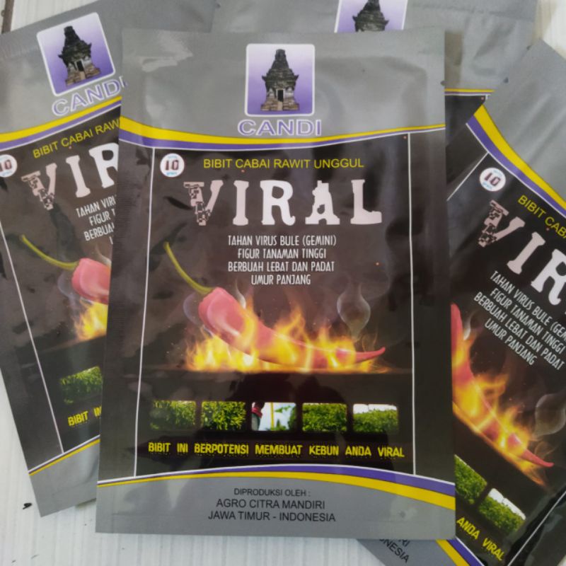 Benih Cabe Rawit Viral isi 10 gram