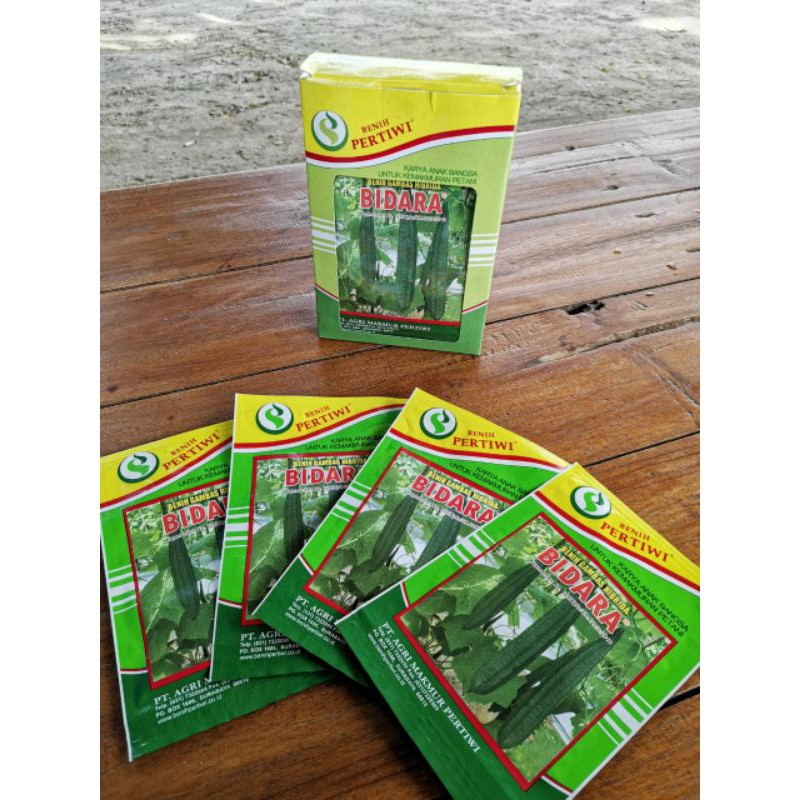 BENIH OYONG BIDARA 10 Gr- BIBIT GAMBAS PERTIWI