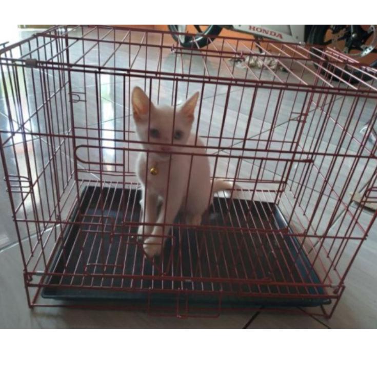 Penjualan Terlaris KANDANG BESI LIPAT UKURAN 50X40X30 KANDANG KUCING / KANDANG KELINCI / KANDANG ANJING