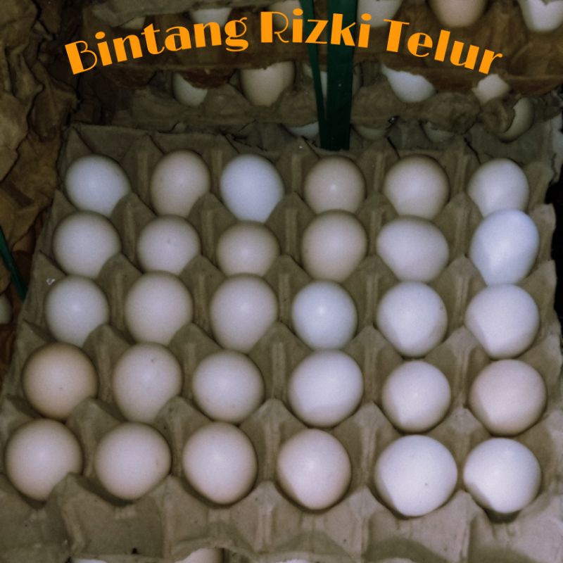 

Telur ayam kampung omega 3 orange
