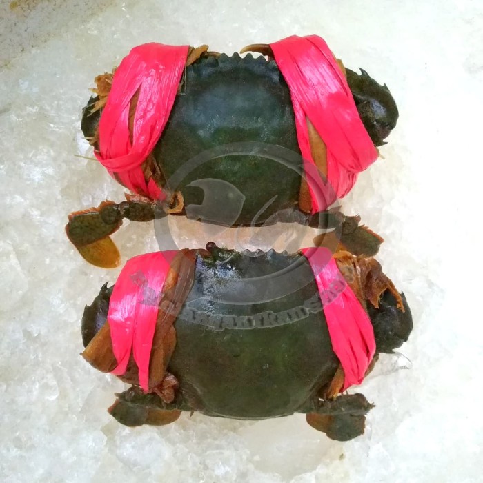 

Kepiting Bakau Segar Per Kg Tx0688