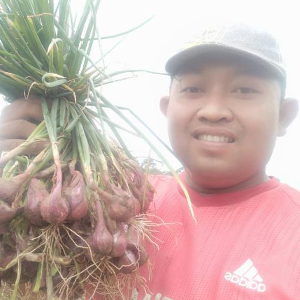 

ゅ Bawang merah lokal 1kg ⇹