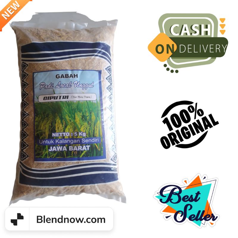 benih padi unggul terbaru CIPUTRI/CIHERANG MALAI PANJANG 5 kg