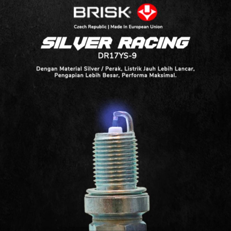 BUSI MOBIL BRISK SILVER DR17YS-9