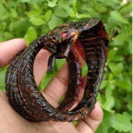Gelang Akar Bahar Merah Lilit 3 Ukir Cobra