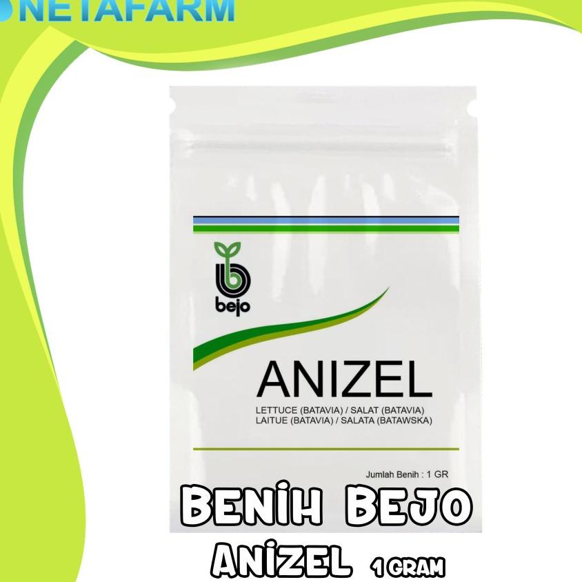 [KODE 77]   Benih / Biji / Bibit BEJO ANIZEL Selada Batavia - Kemasan 1 Gram