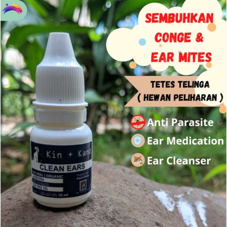 OBAT TETES TELINGA KUCING OBAT RADANG TELINGA KUCING CONGEK BAU BENGKAK LUKA INFEKSI GATAL