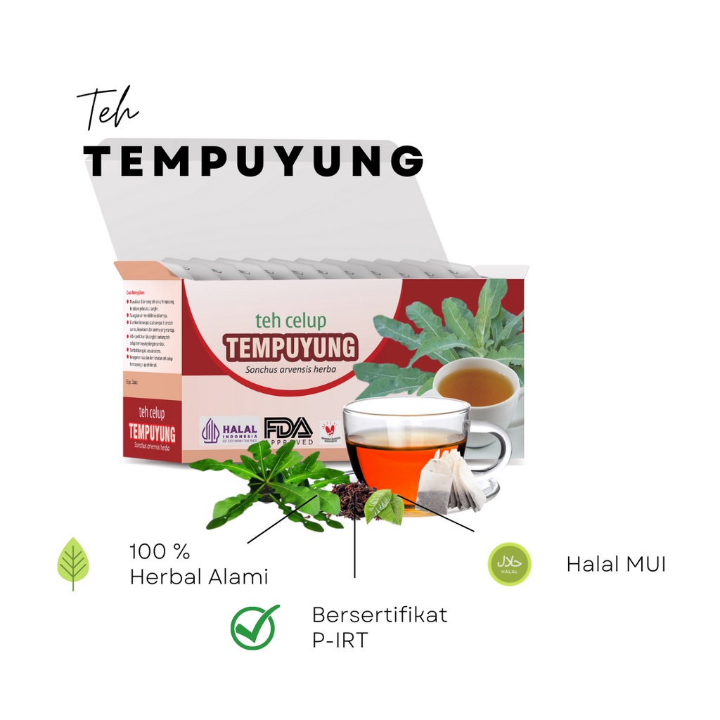 

Tazakka Teh Daun Tempuyung Kering Asli Minuman Kesehatan Herbal Isi 20 Kantung Celup Tea Bag Obat Batu Ginjal Empedu Infeksi Saluran Kemih