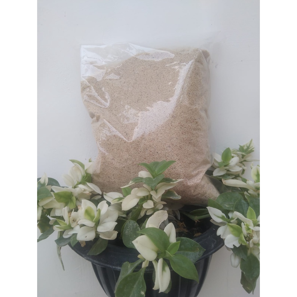 

250 GRAM KAS KAS REMPAH