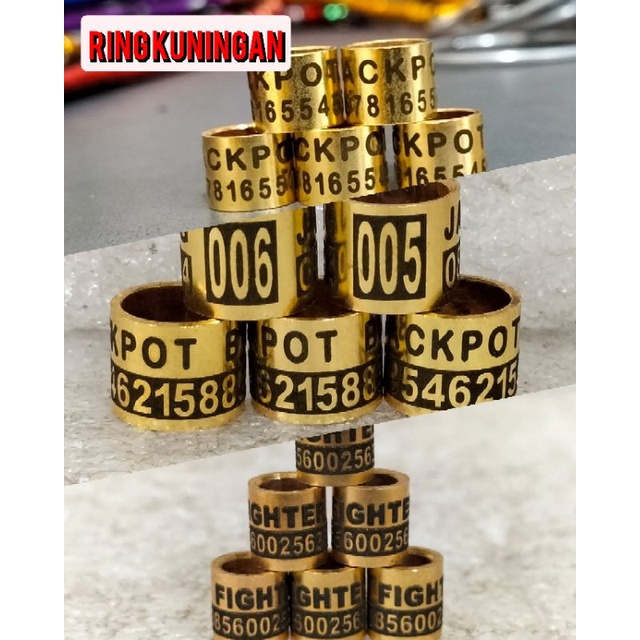 ring murai, perkutut, merpati model kuningan variasi