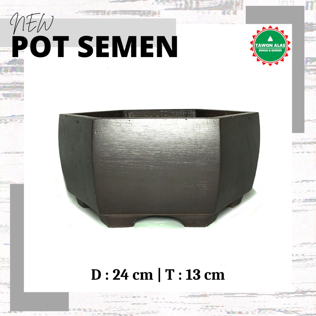 Pot Bonsai Semen Segi Enam Bagus