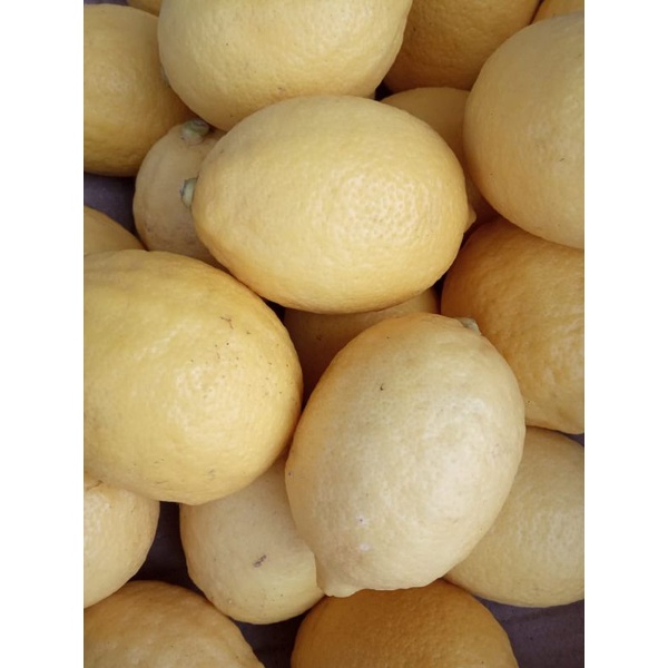

Lemon import
