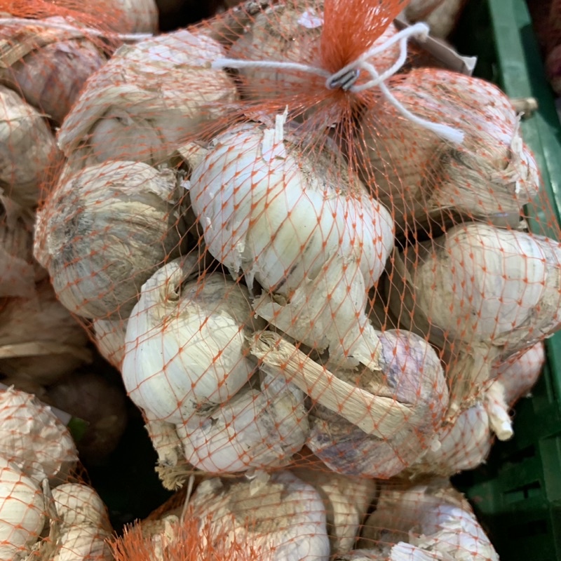 BAWANG PUTIH KUALITAS SUPER