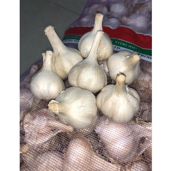 

✢Laris✺ Bawang Putih Kating 1Kg Premium (tidak ada yang busuk) 64 ✢